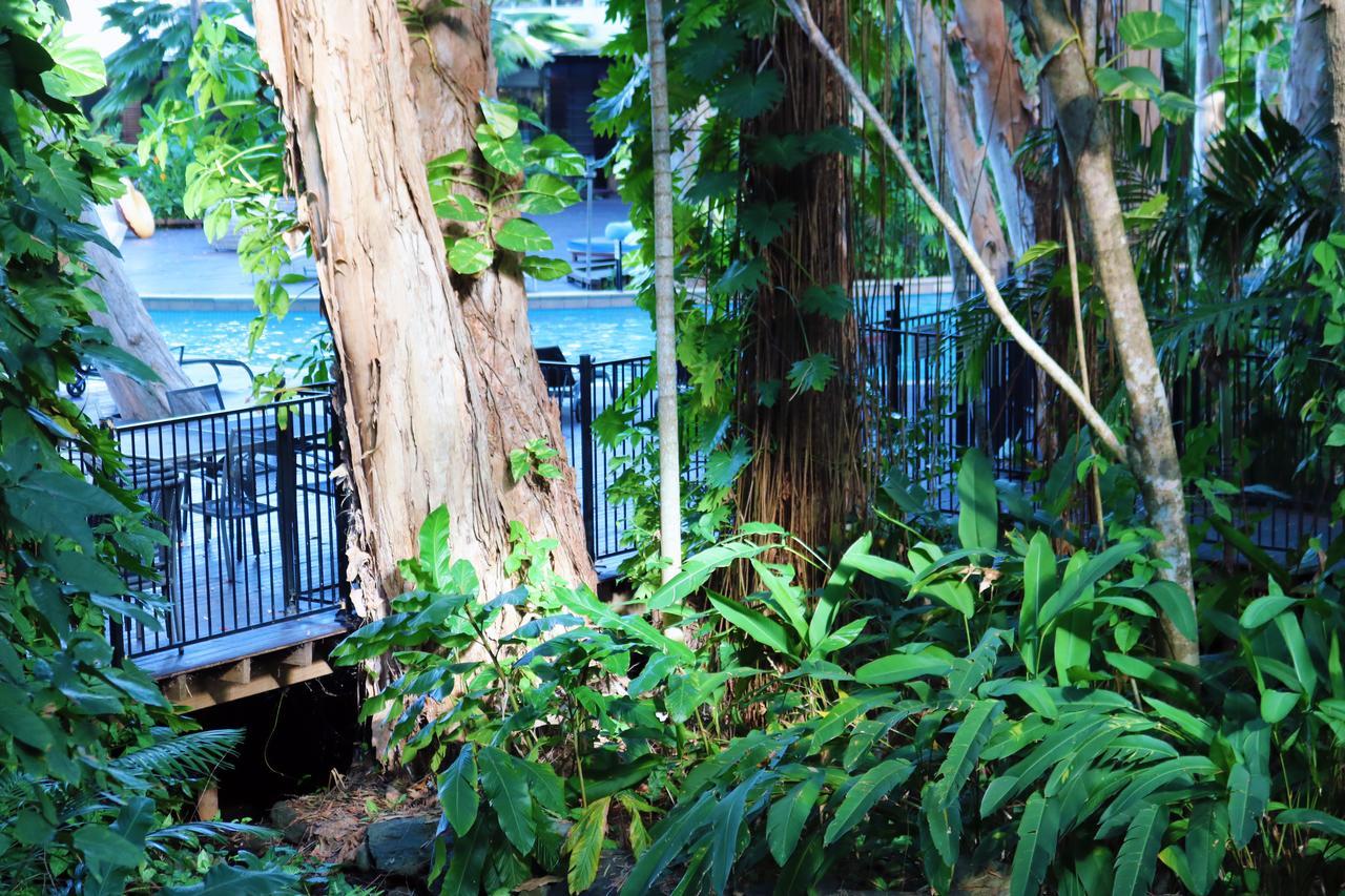 Drift Palm Cove Hotel Bagian luar foto